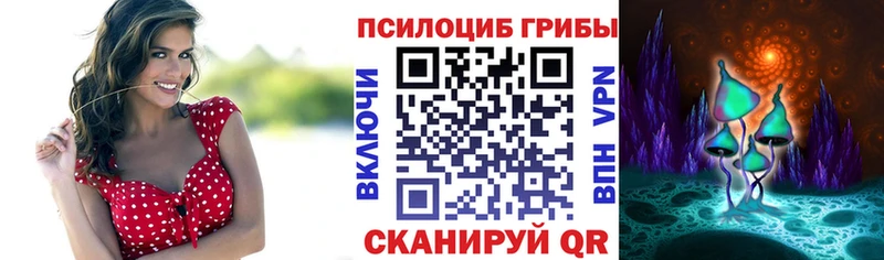 маркетплейс как зайти  продажа наркотиков  Алексин  Псилоцибиновые грибы Cubensis 